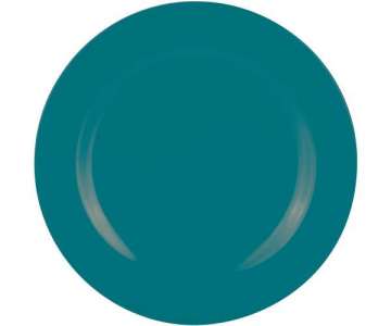 BBQ Speiseteller aqua blau 28 cm