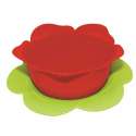 Rosensieb rot & Daisy Platte grn 16.5 cm