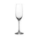 Winebar Sektkelch 20cl, 1 dl /-/ 22.6cm