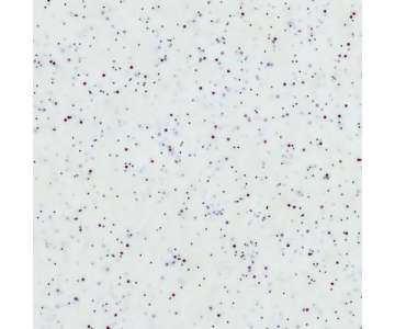 Tablett GN1/2 Poly classic, Weiss 32.5x26cm