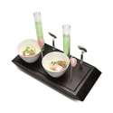 Apro-Platte mit 2 Schalen, 2 Lffel, 2 Glschen 10x20cm