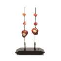 Apro-Platte mit 2 Spiessen 5x10cm