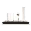 Apro-Platte mit 1 Glas, 1 Lffel, 2 Glschen 10x20cm