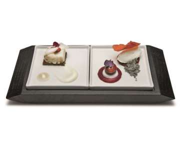 Apro-Platte mit 2 Porzellanplatten 10x20cm