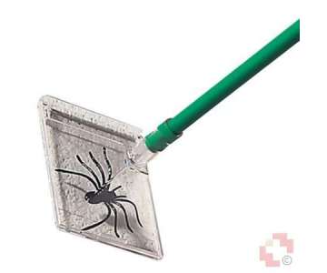 Windhager Spinnen/Insektenfnger