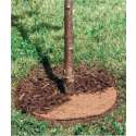 Windhager Kokosschutz-Scheibe 25cm