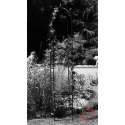 Windhager Rosenbogen Obelisk 193x45cm