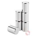 Blomus Magnete VELIO 6er-Set