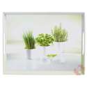 Emsa Tablett Herbs 40x31cm