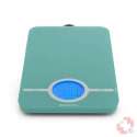 Brabantia Kchenwaage mint 5kg
