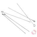 Barbecook Schaschlikspiesse 10Stck