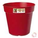 Elho Green basics growpot rot