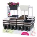 Elho DisplBarcFloeBrid40cm 3Farbe