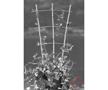 Windhager Blumensttze Bambus 60x30cm
