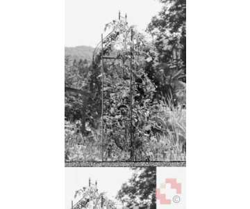 Windhager Tomaten Turm fr Tpfe, 05648