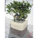 Windhager Schafwollmatte Wint. 200x38cm