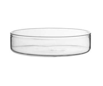 Glasschale flach 0,18L, D:10,5cm, H:2,5cm