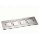 Glasplatte 33x12cm, 4-geteilt, Amuse Gueule
