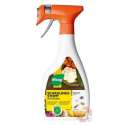 Maag Alaxon Spray 500ml