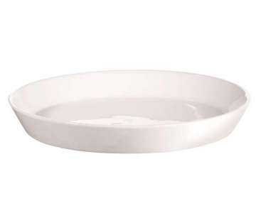 250C Plus Ess-/Servierteller rund 20cm H: 2.5cm