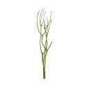 Bamboo & Deco Mitsumata 3er Bund L: 90 - 115cm