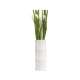 Bamboo & Deco Vase weiss 11cm H: 30cm