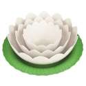 Lotus Schssel 4tlg. mit Untersetzer, weiss/grn