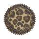 Cupcake Backfrmchen Leopard, 75 Stk.