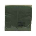 1'280 Stk. Servietten grn 33x33cm 2-lagig 1/8 Falz