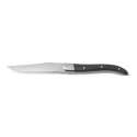 Steakmesser ACR schwarz