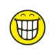 Smiley Sticker, Emoticon breites Grinsen 30 cm