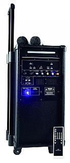 Soundsystem HOLLYWOOD Port-8 MINI USB, 2x Mikro