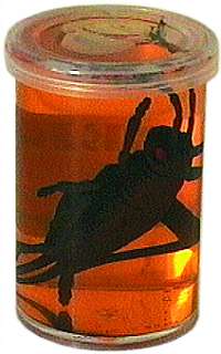 Insektenslimy, mittel