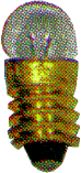 Miniaturgl�hl�mpchen E-5,5-14V 6mm-Kugel
